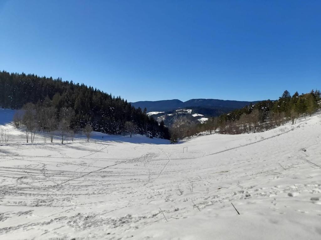 Les Glovettes Villard De Lans מראה חיצוני תמונה